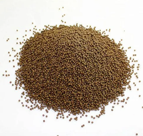 Stainless Steel Fish Floating Feed Machine 100 - 500kg/H