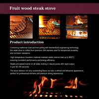Four à charbon professionnel pour grillades de fruits et viandes, machine à griller pour steakhouse, équipement de cuisine haute température 800°C