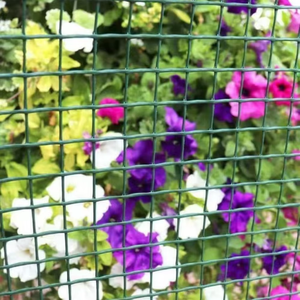 Prime Quality PVC Coated Welded <b>Wire</b> <b>Mesh</b> Square Hole Cutting for Feeding Protection Fence Durability Corrosion Resistance - Product Image 6