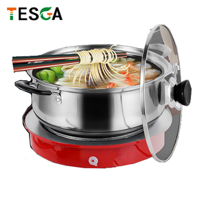 Cuisinière portable multifonctionnelle en acier inoxydable, étanche, alimentée par énergie solaire 2V et batterie, 450W - Product Image 4
