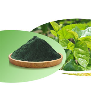 Qualité alimentaire Klorofil Chlorophylle Sodio Clorofilina De Cobre Soluble Dans L'eau Pigmentos Comestibles Extrait De Feuille De Mûrier Poudre Tambour - Product Image 1