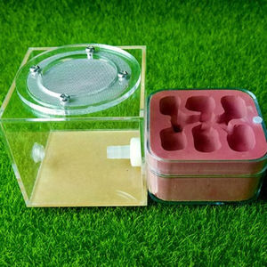 Formicarium in Acrilico Trasparente, Facile da Osservare, Casetta <span class=keywords><strong>per</strong></span> <span class=keywords><strong>Formiche</strong></span> <span class=keywords><strong>per</strong></span> Appassionati di <span class=keywords><strong>Formiche</strong></span> - Product Image 6