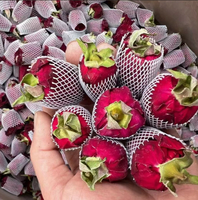 Bourgeons de roses rouges séchés naturels, bourgeons de fleurs de rose comestibles en vrac pour tisanes, vente en gros, OEM, marque privée