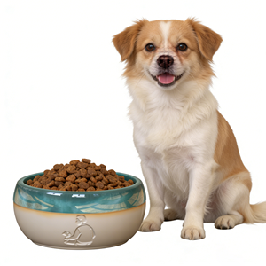 Maßgefertigter Extra Großer Futter- und Wassernapf für Hunde, Robuster Rutschfester Hundenapf für Mittelgroße & Große Hunde, Lebensmittelechter Porzellan-Futternapf - Product Image 3