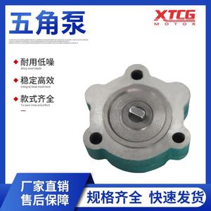 Bomba de engranajes pentagonales Taichuang Hydraulics de 1 etapa, sistema de aceite hidráulico de hierro fundido con instalación roscada - Product Image 3