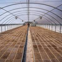UV-bestendige transparante PE-folie voor de teelt van drakenvruchten en passievruchten