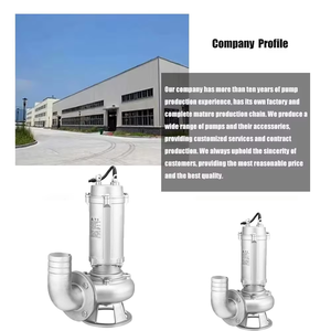 Bomba Submersível de Água em Aço Inoxidável de Alta Qualidade, 2HP, Grande Taxa de Fluxo para Drenagem e Irrigação - Product Image 6