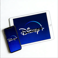 Dix Ney Plus 4K Yazılımı için Bir Yıllık Premium Hesap, Mac Destekli, Stabil Küresel Film ve TV Kapsama Alanı