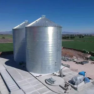 Silo Hạt Đáy Phẳng 2000 5000 10000 Tấn Để Chứa Lúa Mì Ngô Silo Ngũ Cốc Để Bán