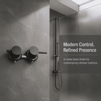 Robinet de douche mural monocommande chaud/froid en cuivre poli au design moderne, avec cartouche céramique, installation 2 trous pour hôtel