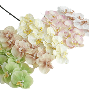 Calidad Premium 8 cabezas Real Touch látex Faux Artificial Phalaenopsis orquídeas para sala de estar <span class=keywords><strong>orquídea</strong></span> decoración flor - Product Image 2