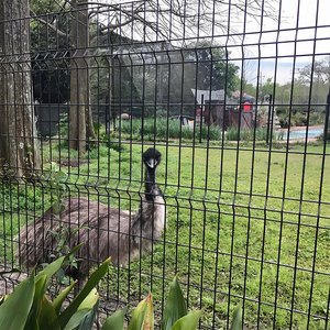 Clôture 3D Courbe en Acier Thermolaqué, Durable, pour Villas et Terrains Sportifs, Tailles Personnalisées Disponibles, Vente Directe Usine, Certifiée CE ISO - Product Image 1