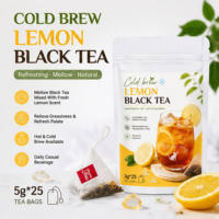 Sachets de thé noir glacé au citron et au miel, marque privée OEM, pour vente en gros, boisson estivale, sachet refermable