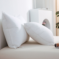 Luxe 100% coton plume d'oie oreiller Style solide corps dos cou sommeil double reine roi lit tailles qualité gonflable PVC
