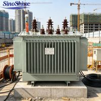 SinoShine Güç Trafosu Transformatörleri Elektrik Ekipmanları 11kV 33kV Üç Faz Yağlı Tip IEC60076