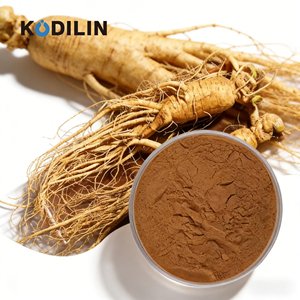 טכנולוגיית קודילין פיטומירור 8.962 גרם/100 גרם ספונין לחיזוק חסינות, תוספי תזונה, אבקת ג'ינסנג, שורשים נלוויתיים - Product Image 1