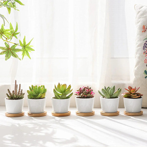 Dropshipping vasi succulenti da 3.31 pollici <span class=keywords><strong>in</strong></span> <span class=keywords><strong>ceramica</strong></span> piccoli vasi succulenti con drenaggio bianco succulento fioriere vasi da fiori per <span class=keywords><strong>piante</strong></span> - Product Image 6