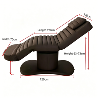 Mobilier de salon de beauté pour esthéticiennes : Lit de soin électrique, lit de cosmétique pour cils, chaise de massage et de soin du visage, chaise de dépilatoire