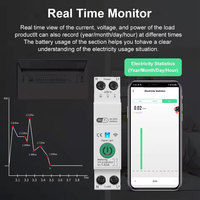 Interrupteur intelligent WIFI, disjoncteur 63A 1P, mesure de la puissance, surveillance, minuterie, relais pour maison intelligente, télécommande sans fil