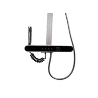 Système de douche minimaliste intégré avec pommeau de pluie et douchette à main pour une baignade de luxe
