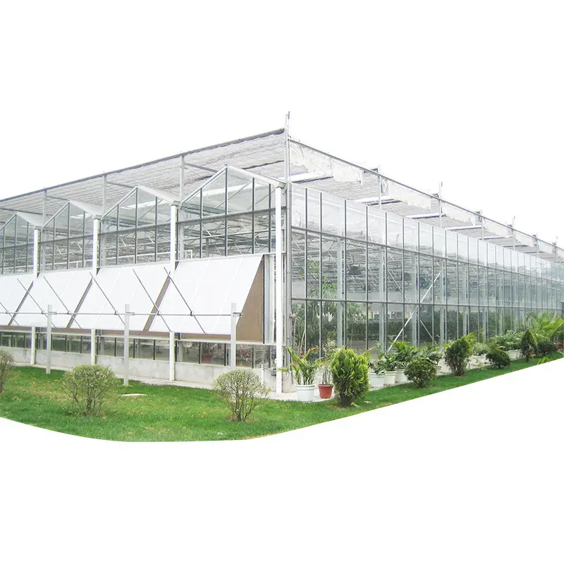 High Efficiency Large Multi Span Glass Agriculture Greenhouse/Low Cost Type Glass Multi Span Commercial greenhouse