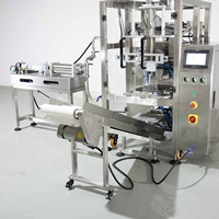 Pompe à piston automatique emballage de mesure Sachet de jus de fruits huile d'olive vinaigre eau de coco Sauce sachet remplissage Machine d'emballage