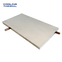 Plaque de refroidissement liquide en aluminium sur mesure OEM, tube en cuivre, plaque froide pour batterie de véhicule électrique / processeur de serveur / refroidisseur industriel, usinée CNC