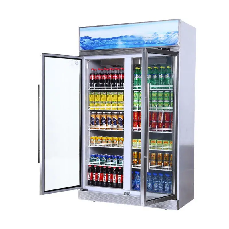 Réfrigérateur à Double porte en verre de haute qualité, sans givre, réfrigérateur à boissons/glaces, congélateur pour supermarché