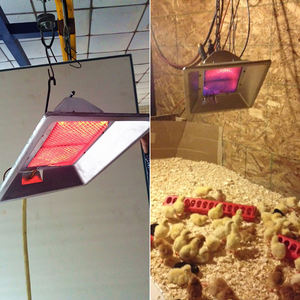 Calentador de <span class=keywords><strong>Gas</strong></span> para pollos, equipo de incubación de Calefacción Automática, cerámica infrarroja, calefacción catalítica para aves de corral y animales - Product Image 4
