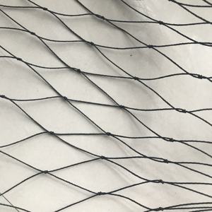 Hoge Dichtheid Polyethyleen Zeer Duurzaam 2 "Zware Geknoopte Netten Voor Fazanten En Grotere Vogels - Product Image 3