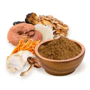 Private Label 10:1 20:1 Lions Mane Cordyceps Mushroom Blend Powder Natural Maitake Mushroom Dual Extract Powder