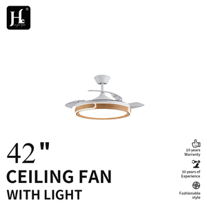 Y019 new 42-inch corrugated invisible fan <b>lamp</b> 110 220 volt decorative leafless <b>remote</b> <b>control</b> - Product Image 2