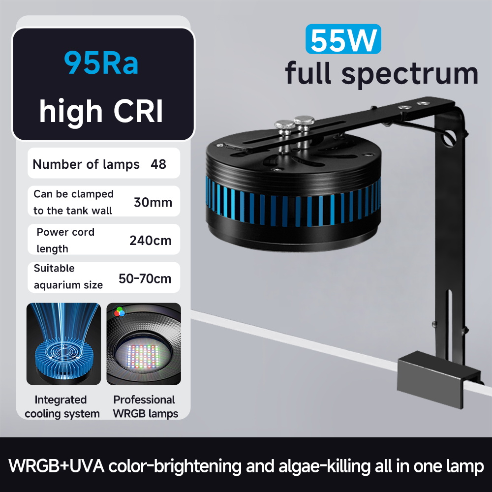 55 W (support inclus)