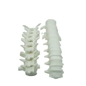 Barato 3d plástico impressão serviço sls/FDM/SLA 3d impressora prototipagem china fábrica suprimentos médicos 3d impressão