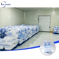 Ligne de production automatique de glace en tubes de 5 tonnes/24h avec machine d'emballage de glace
