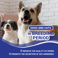 Suplemen OEM Stud untuk Anjing & Kucing Meningkatkan Libido dan Meningkatkan Jumlah Sperma dengan Bubuk Kesehatan Pencernaan