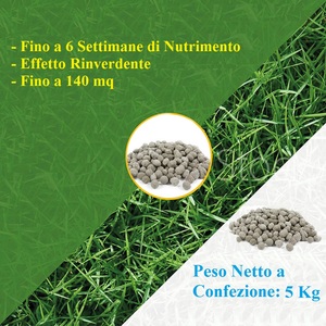 Engrais Prato Rinverdente 5 Kg avec Fer pour 140 m² de pelouse fine - Product Image 4