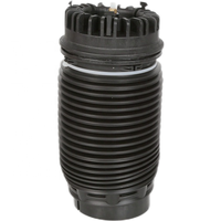 Amortisseur de suspension pneumatique arrière, airbag arrière pour Dodge RAM 1500 68069813AA 4877136AB
