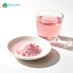 Nhà máy cung cấp trực tiếp của lựu bột phun-khô lựu Bột nước ép ngay lập tức lựu bột trái cây nhà máy chiết xuất - Product Image 3