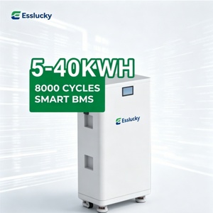 Système de stockage d'énergie solaire domestique tout-en-un 5 kWh 48 V avec BMS intelligent - Product Image 2