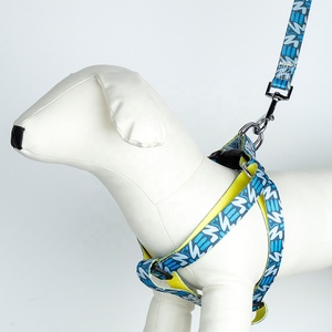 Productos populares para mascotas, collares de entrenamiento, correa para amigos, arnés para perros, conjunto de Collar, correa de nailon, conjunto de arnés para perros - Product Image 3