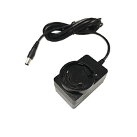 Adaptateur secteur mural interchangeable multi-usage DC AC 12V 2A 24V 1A pour les voyages internationaux