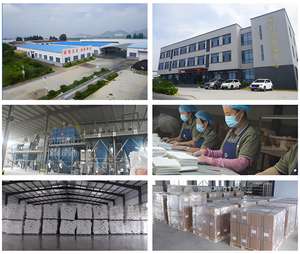 DTY Hoge Kwaliteit T10 Tandmodel Gips Warm Wit Oppervlak Glad Tandheelkundige Articulator Montage Toepassing Niet-krakend - Product Image 6