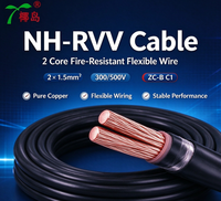 Câble multiconducteur en cuivre résistant au feu NH-RVV 12x1.5 16AWG, isolé en PVC, 300/500V, 0-70°C, pour câblage de panneaux de commande