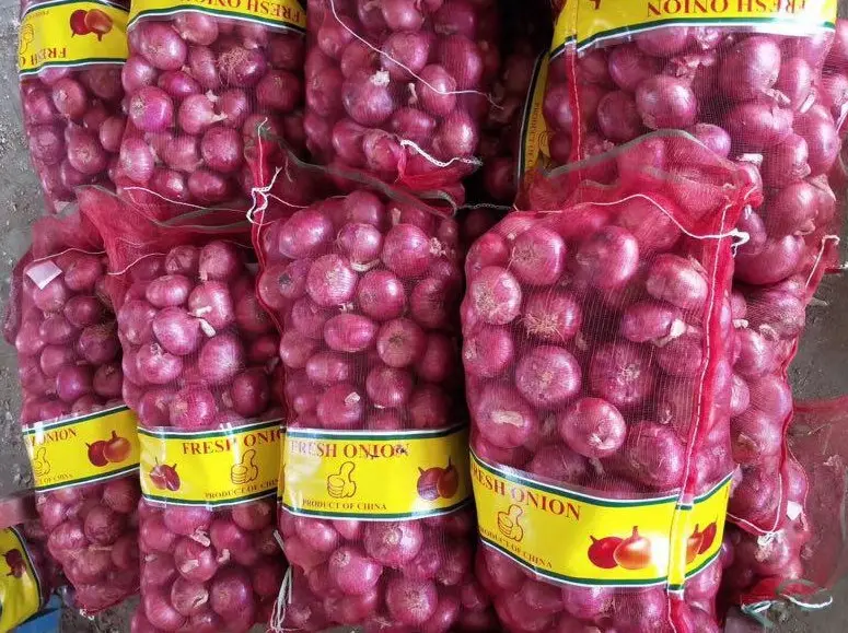 Oignons frais oignon rouge foncé rouge violet approvisionnement du fournisseur de ferme d'oignon chinois
