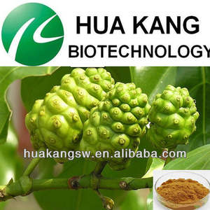 Fabrika Tedarikli Sıcak Satış Katkısız <span class=keywords><strong>Noni</strong></span> Meyve Suyu Tozu Yüksek Kalite ve Hızlı Kargo ile - Product Image 5