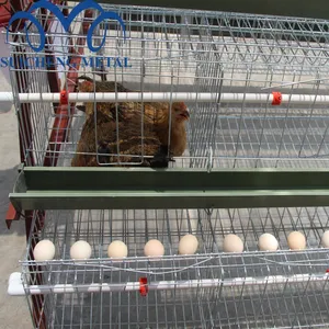 Customized Chicken Coop Designs, Cages for Poultry, Wire Chicken Cages for Sale Provided Chicken Farming Feeding Machine
