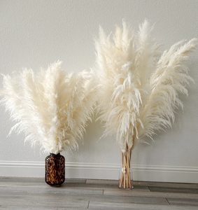 A-2 3 Tiges <span class=keywords><strong>Grand</strong></span> BLANC <span class=keywords><strong>PAMPAS</strong></span> HERBE 3-4ft <span class=keywords><strong>Grand</strong></span> Vente Fleurs Sèches Décor À La Maison Boho Décor De Mariage Floral Décor | Bouquet De Pampa - Product Image 5