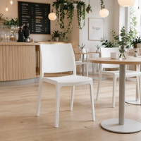 Chaises de salle à manger modernes en plastique, empilables, légères, robustes, colorées, avec dossier, pour salon, cuisine, table à manger
