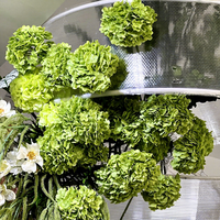 Bunga Hydrangea Hijau Tua M162 untuk Pernikahan, Bunga Artifisial Grosir, Plastik Sutra Lembut, Dekorasi Pesta, Rangkaian Bunga